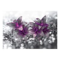 papel pintado 3d - secret of the lily 250x175 cm