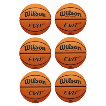 Pack 6 balones Wilson Evo NXT para Federaciones de baloncesto