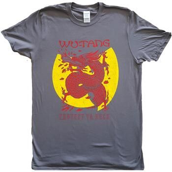 Wu-Tang Clan Camiseta manga larga Inferno para mujer