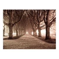 papel pintado 3d - callejon de parque 250x193 cm