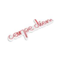 iluminacion led decorativa de plastico carpe diem rosa 53x20x2 cm
