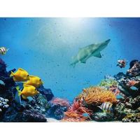 fotomural vinilo oceano tiburones 350 x 250 cm