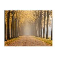 papel pintado 3d - journey to the unknown 400x309 cm