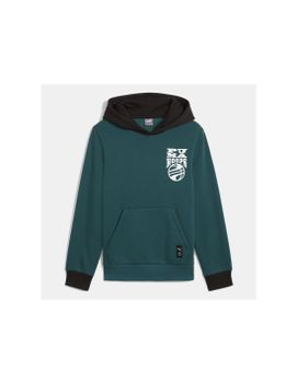 Sudadera Puma Basketball Blueprint Niño Verde