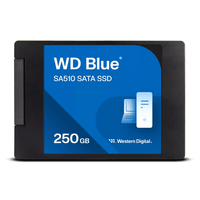 western digital wds250g3b0a ssd 250gb 25 555mbs micro sata nvme