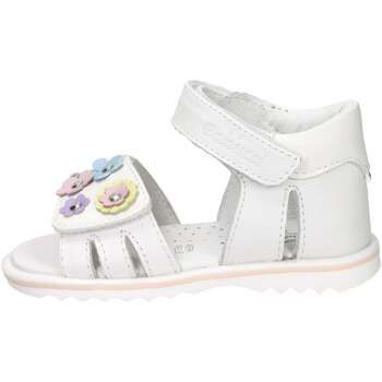 Balducci Sandalias CITA6984 para niña