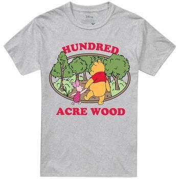 Dessins Animés Camiseta Hundred Acre Wood para hombre