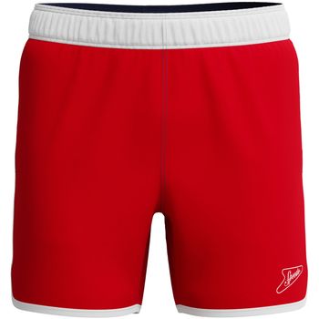 Speedo Short Volley para hombre