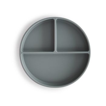 Plato ventosa-compartimentos stone