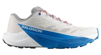 Salomon hombre - gris