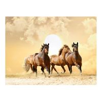 papel pintado 3d - caballos corriendo 200x154 cm