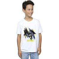 dc comics tops y camisetas bi9607 para nino