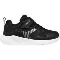 geox zapatillas - para nino