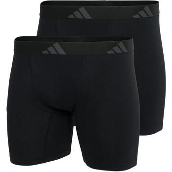 adidas Boxer GT61479 para hombre