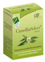 100 natural camellia select antioxidante 60 capsulas