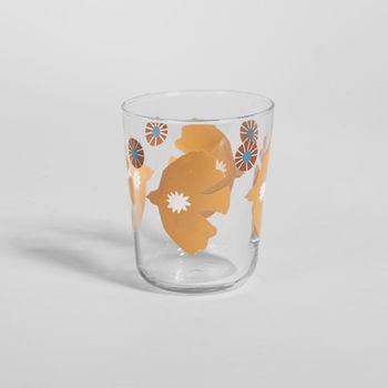 Vaso de vidrio transparente con motivos multicolores