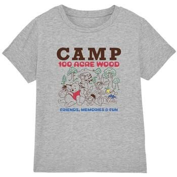 Dessins Animés Camiseta Camp 100 Acre Woods para niña