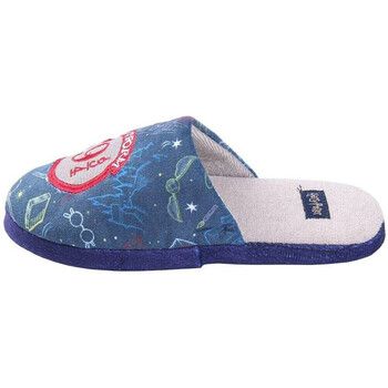 Harry Potter Pantuflas 2300004907 para niña