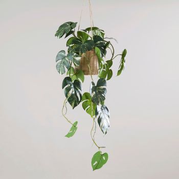 Monstera artificial colgante con macetero de ratán