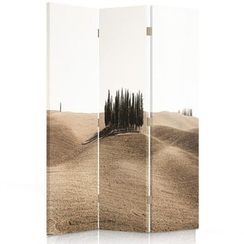 Biombo Rolling Hills Map - Separador De Ambientes Cm. 110x150 (3 Paneles)