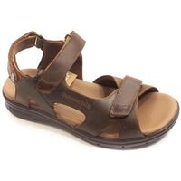 panama jack sandalias roman c3 para hombre