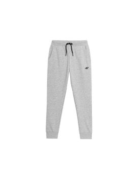 Pantalones de Fitness 4F Gris Niño