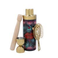 juego de coctelera 4 piezas