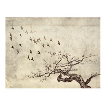 Papel Pintado 3d - Flock Of Birds (250x193 Cm)