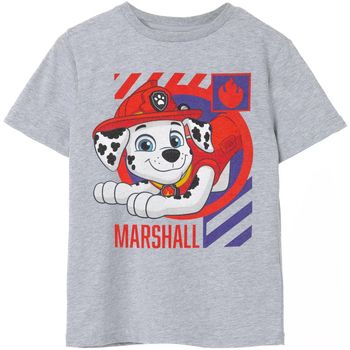 Dessins Animés Camiseta NS7762 para niño