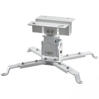 Celexon MultiCel1200W Soporte de Techo para Proyector
