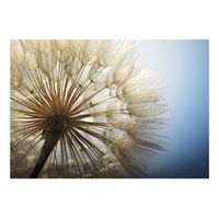 papel pintado 3d - summer delight 250x175 cm