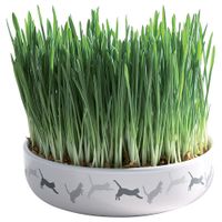 trixie ceramic bowl with cat grass - bowl  50g seeds