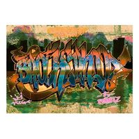papel pintado 3d - street art 300x210 cm