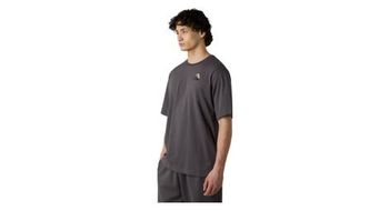 Camiseta the north face graphic dome flower grey  hombre