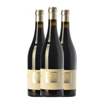 Portal Del Montsant Vino Tinto Santbru Montsant Crianza 75 Cl 14.5% Vol. (pack De 3 Unidades)