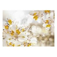 papel pintado 3d - sunny alstroemeria 150x105 cm