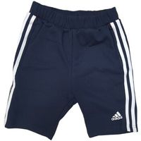 adidas short nino gm6984 para nino