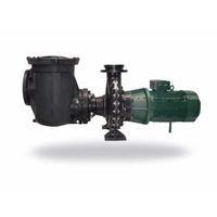 bomba piscina f-great giant psh ie3 4-125cv gran caudal agua salina - 55cv tri