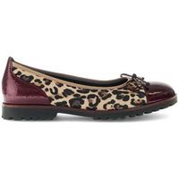 gabor bailarinas 74100 para mujer
