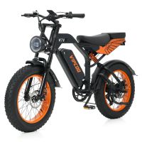 eu direct vipcoo vc-vm6 bicicleta electrica 48v 182ah bateria 250w motor velocidad maxima recomendada 25kmh neumatic