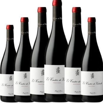 El Castro De Valtuille Mencía Joven, Vino Tinto, España, Pack 6 Botellas 75 Cl, 13,5% Vol.