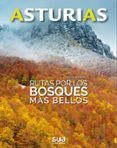 asturias. rutas por los bosques mas bellos