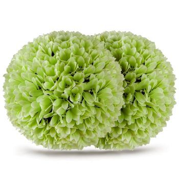Juego De 2 Bolas De Boj, Bolas Decorativas Resistentes A Los Rayos Uv, Planta Artificial Topiaria, Planta Decorativa, Diámetro 28 Cm, Verde