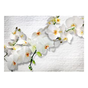 Papel Pintado 3d - Orquídeas En La Pared (250x175 Cm)