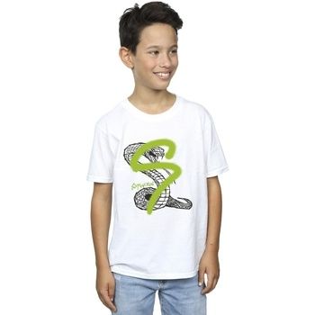 Harry Potter Tops y Camisetas Slytherin para niño