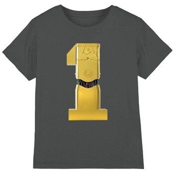 Disney Tops y Camisetas 1 para niño