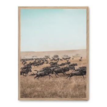 Cuadro Wildebeest Stampede