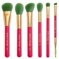 spectrum travel books ibiza 6 piece makeup brush set