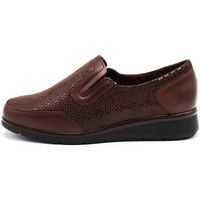 pitillos zapatos bajos 10011 para mujer