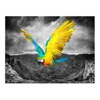 papel pintado 3d - exotic parrot 350x270 cm